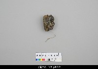 北京杖頭戲偶-花臉藏品圖，第4張